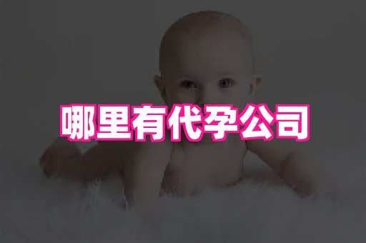 泉州助孕网 2